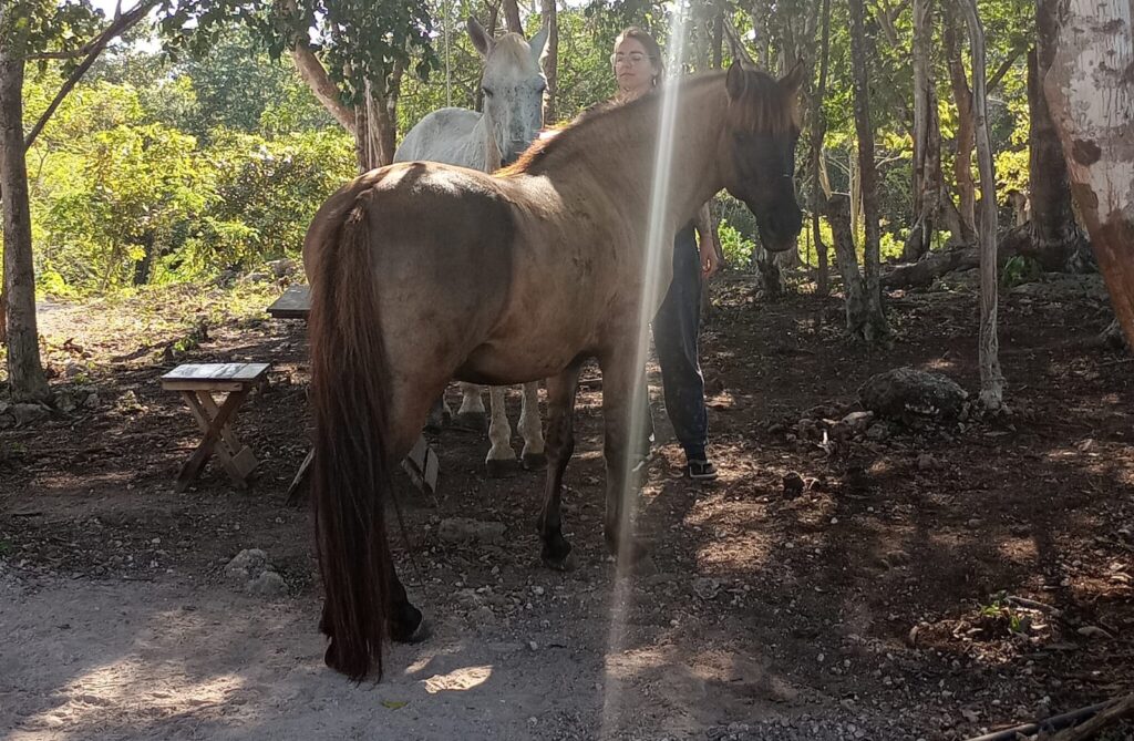 Tsiímino'ob Santuario 2