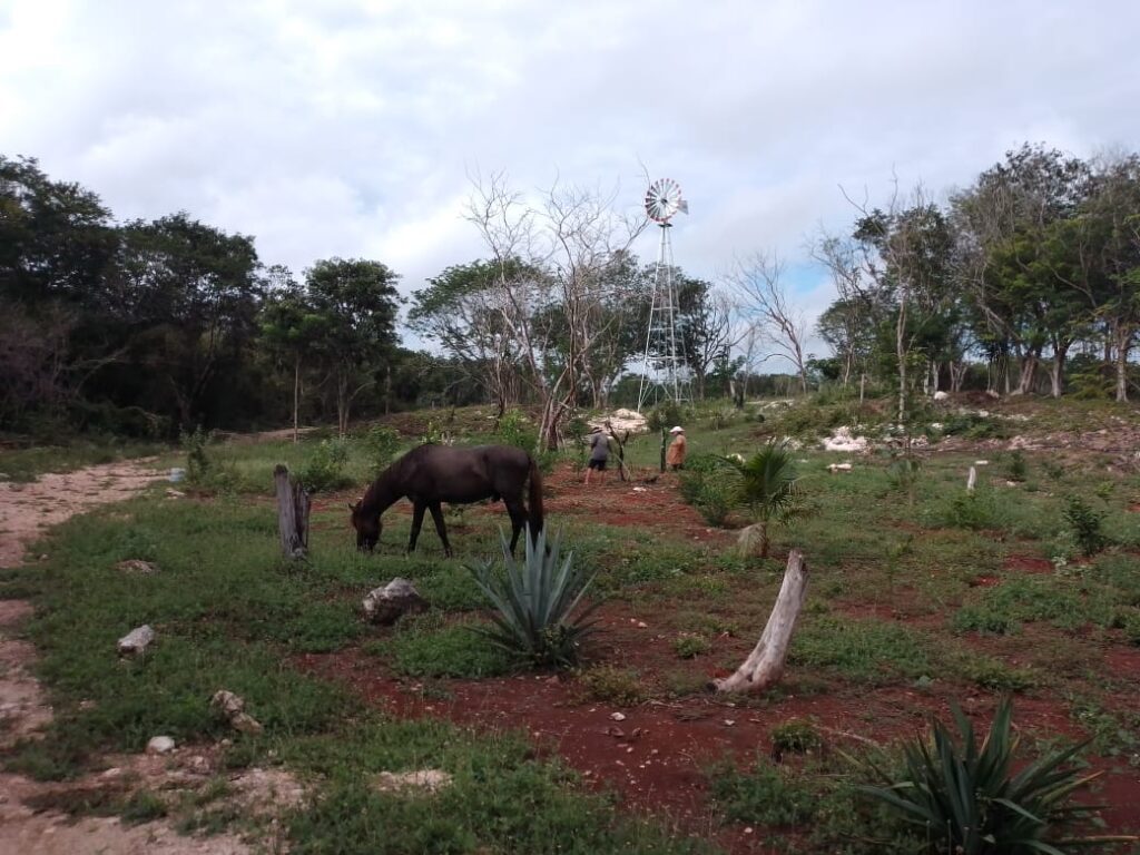 Tsiímino'ob Santuario