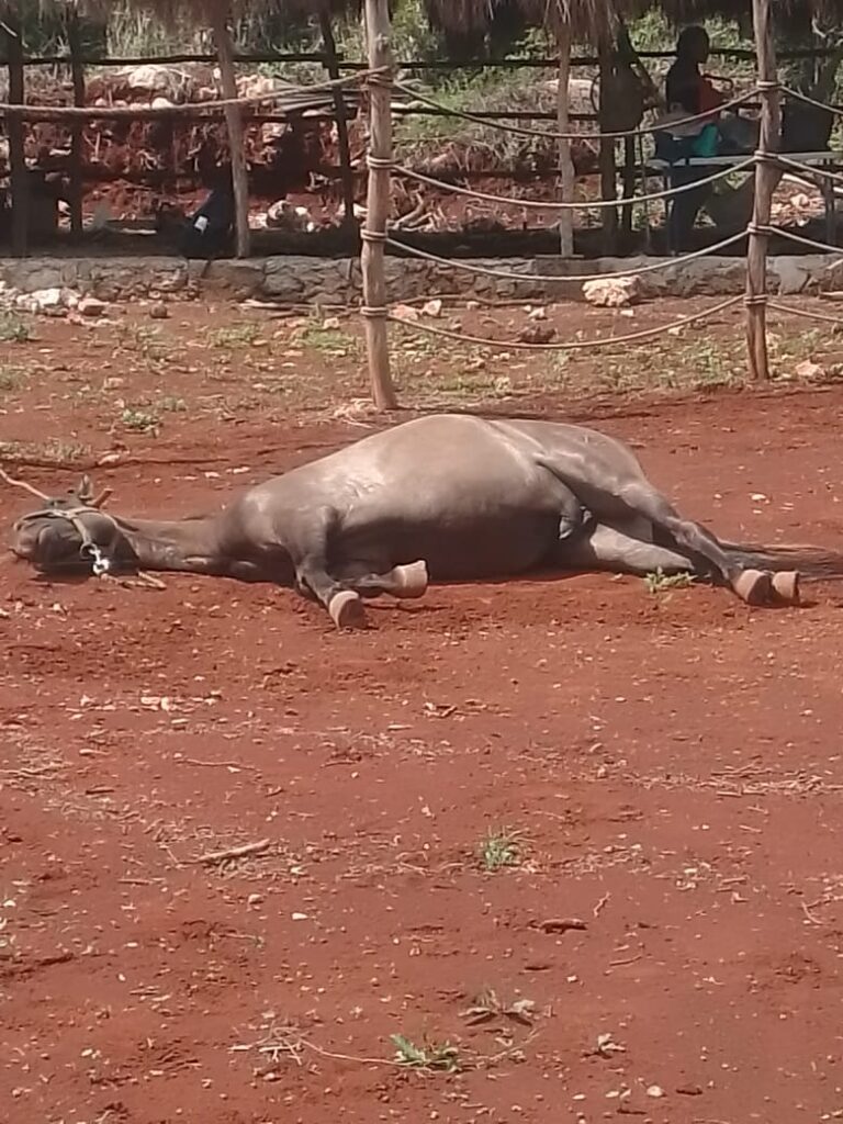 Tsiímino'ob Santuario 3