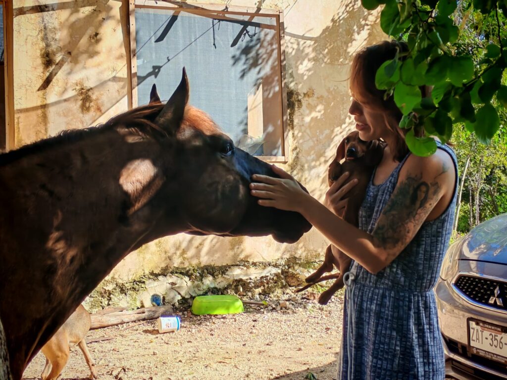 Tsiímino'ob Santuario 4